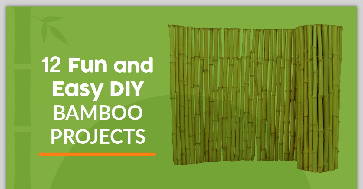 Fun and Easy Bamboo DYI Projects