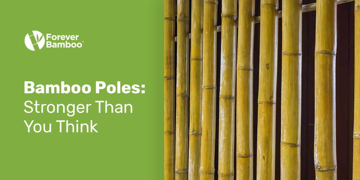 strong bamboo poles