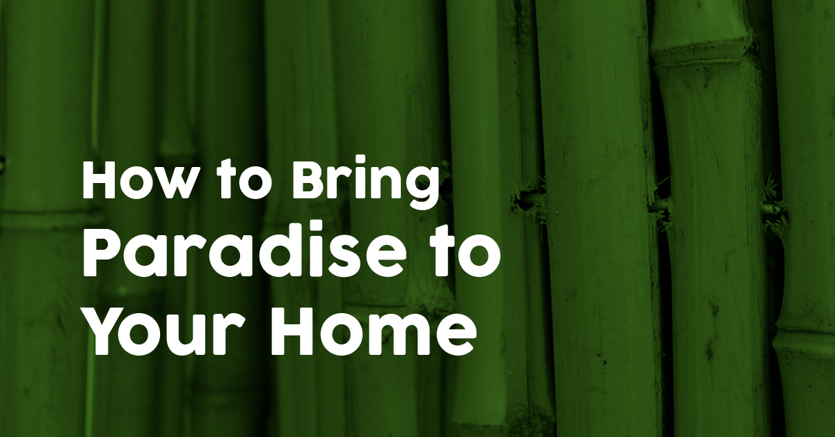 a green background with the words how to bring paradise to your home
