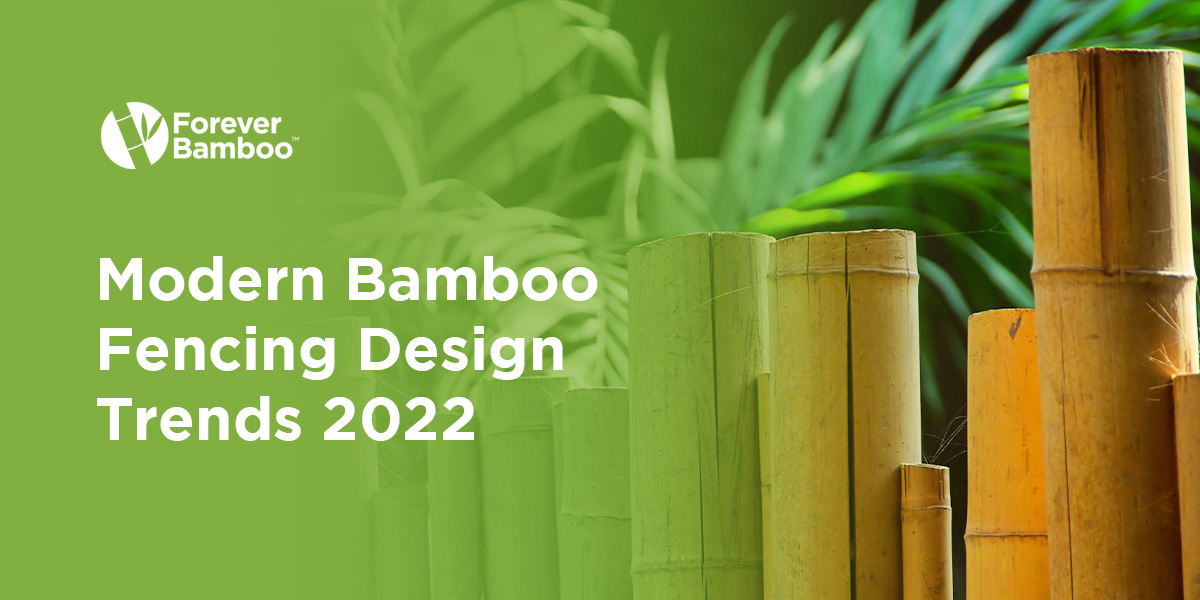 modern bamboo fencing design