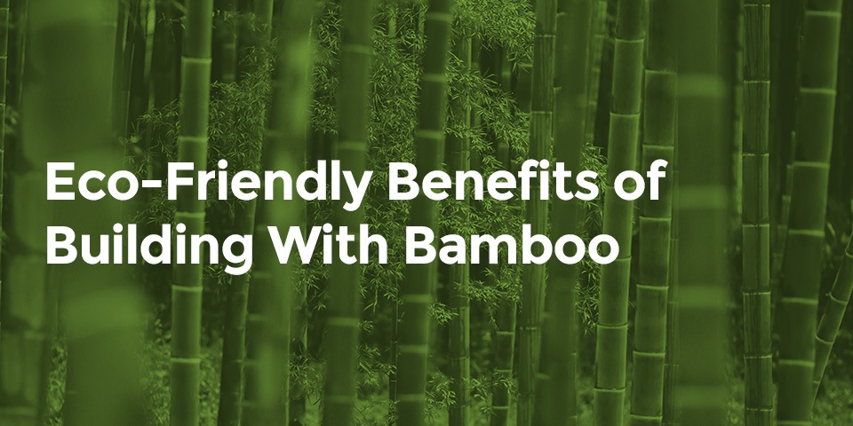 Our purpose-built, eco-friendly bamboo studio is one of a kind