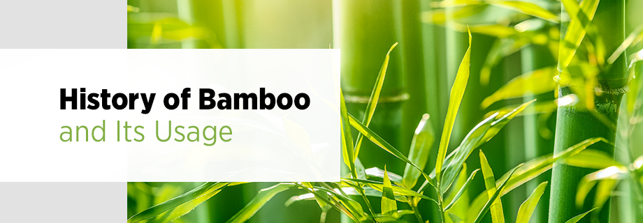 Bamboo History and Usage