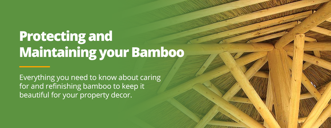 Whole green bamboo poles Can Make Any Space Beautiful and Vibrant 