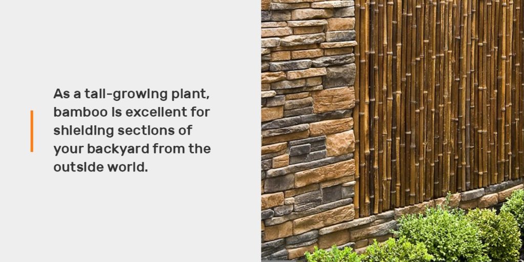 Bamboo Privacy Fencing is Great for both Privacy and Looks