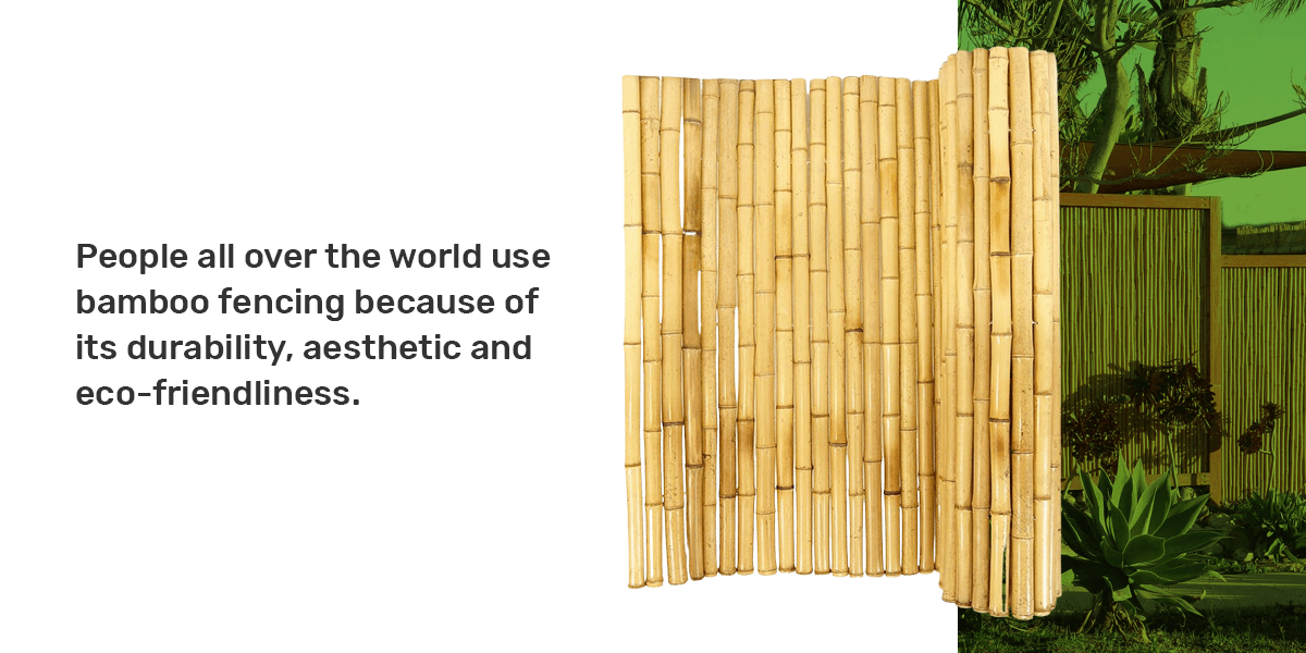 Sustainability and Bamboo panels 