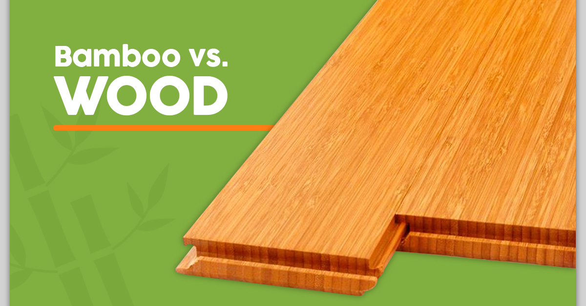 Bamboo wood: why you should use bamboo as wood