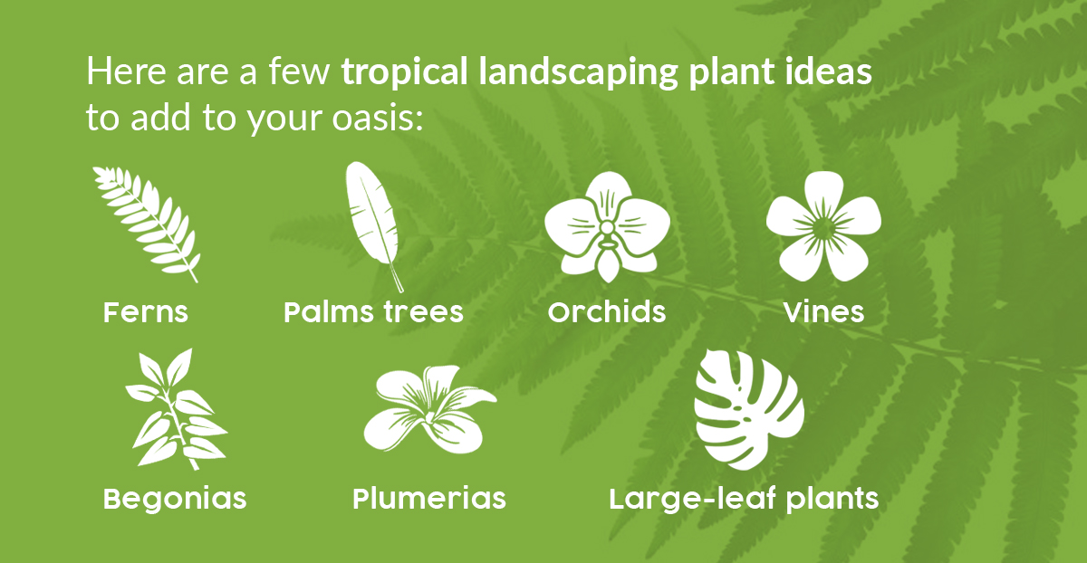 Backyard Tropical Plant Landscaping Ideas