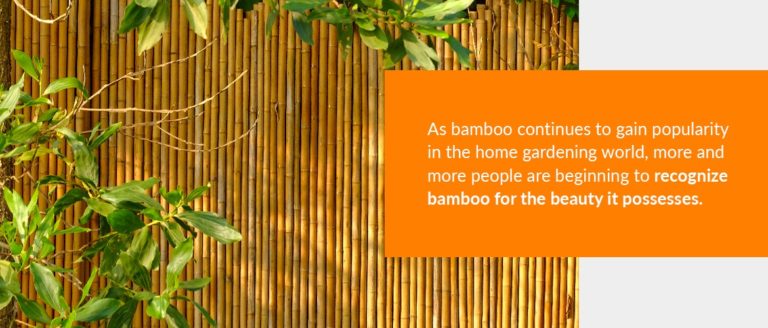 Advantages of Using Bamboo in Your Home Garden - Bamboo Products ...