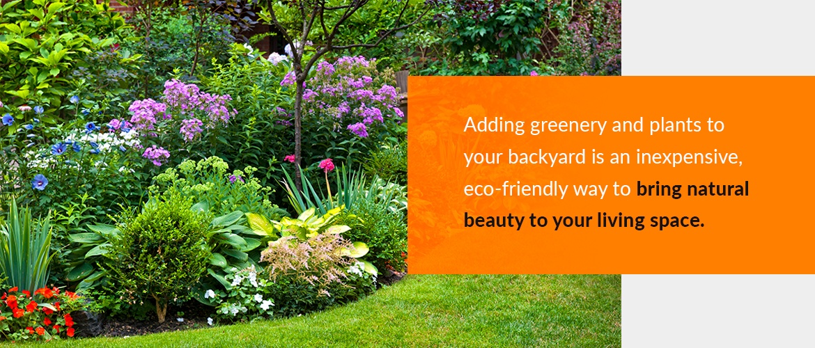 Adding plants and greenery to your backyard space