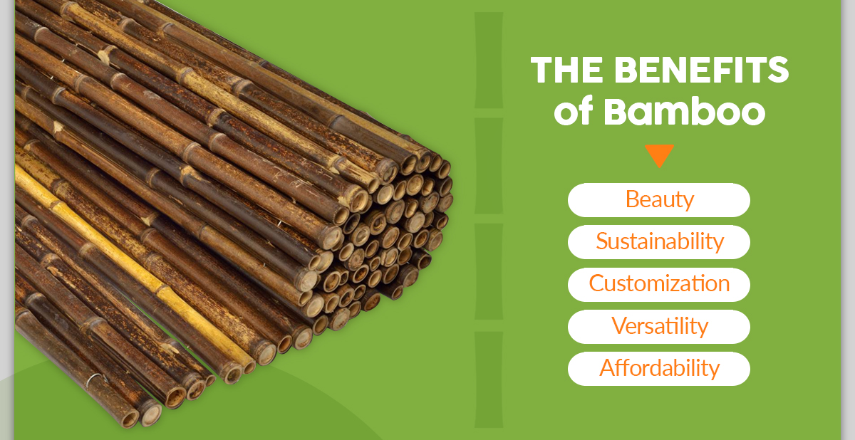 Benefits of Decorating with Bamboo