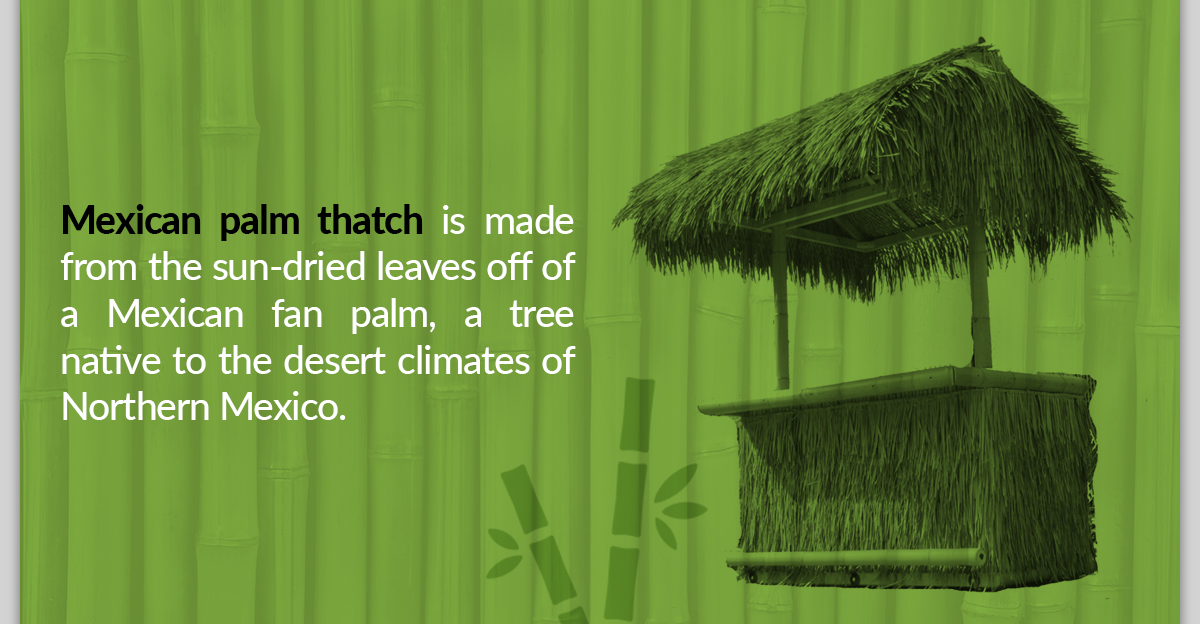 What is Mexican Palm Thatch