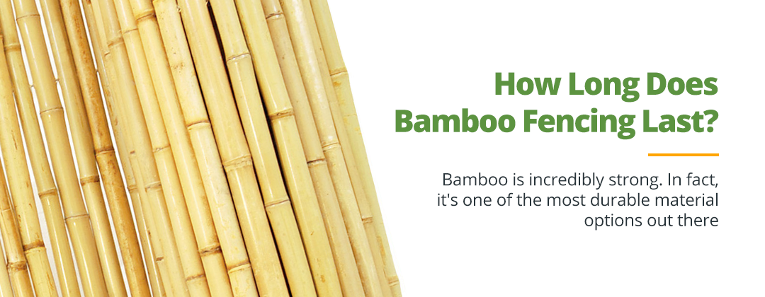 Bamboo Fencing Lifespan