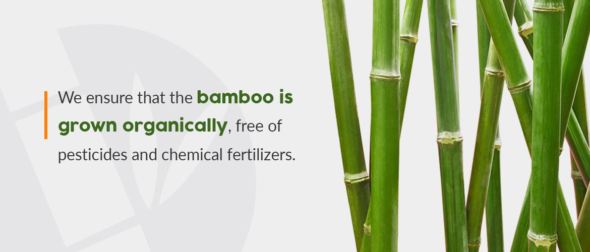 Organic bamboo building materials