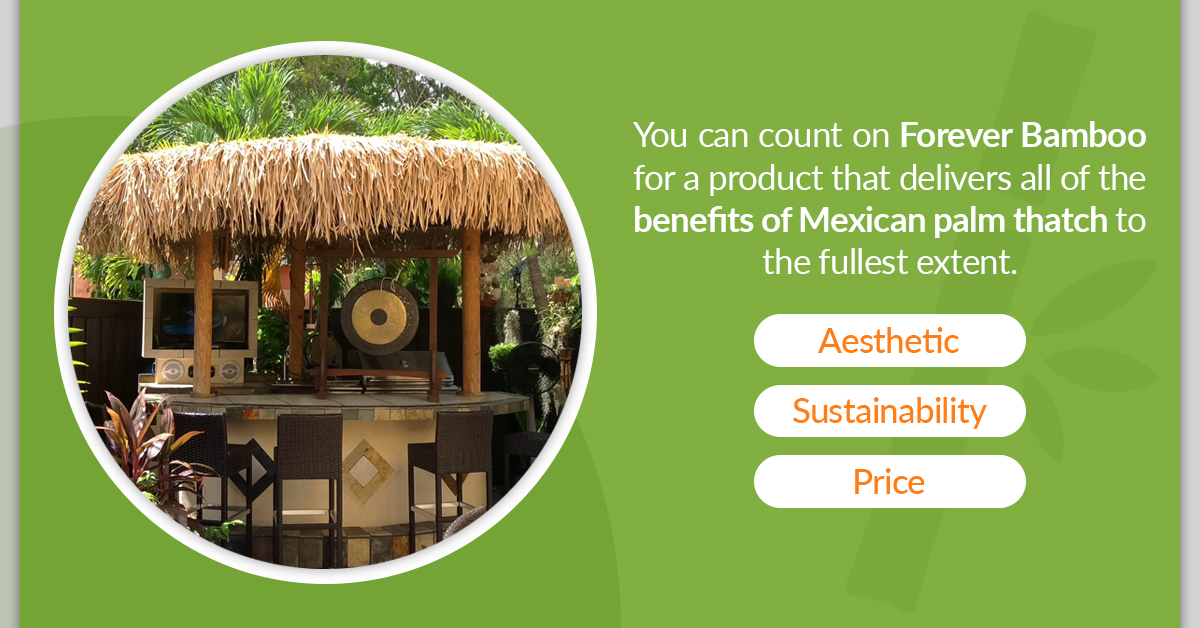 Benefits of Mexican Palm Thatch