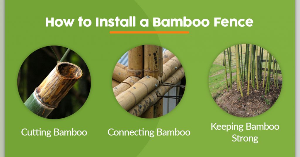 Creative Bamboo Fence Ideas Diy Bamboo Fencing Projects