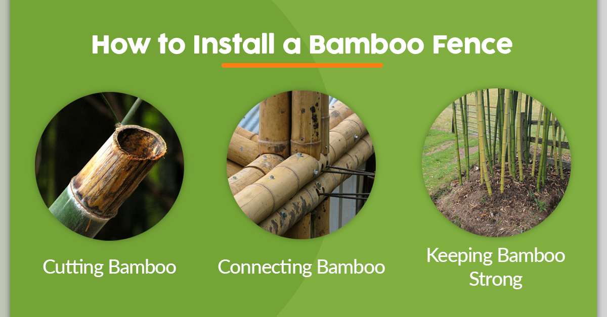 How to Install a Bamboo Fence