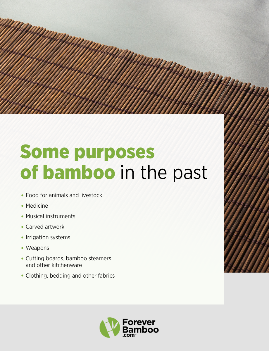 Fun and Easy DIY Bamboo Projects