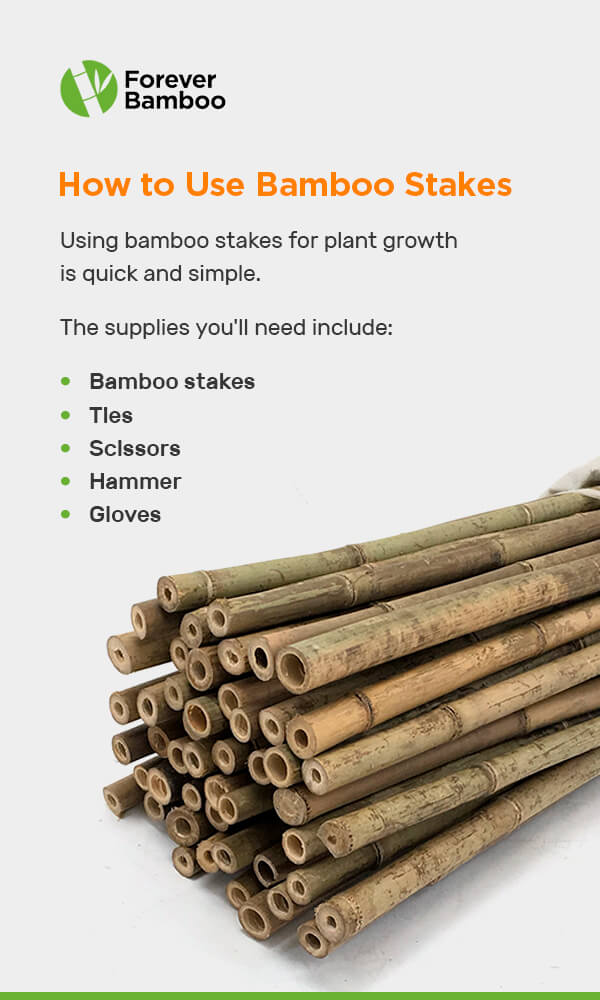 How to Use Bamboo Stakes 