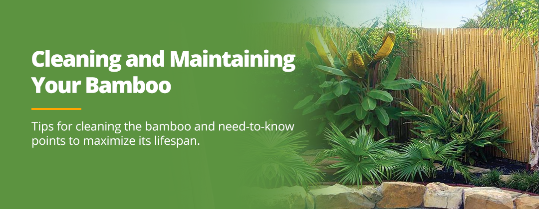 Cleaning and Maintaining Bamboo