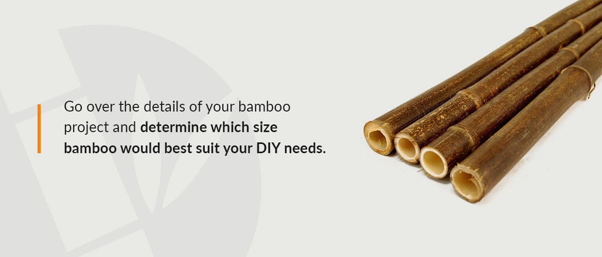 What Are the Best Bamboo Products for Your Garden?