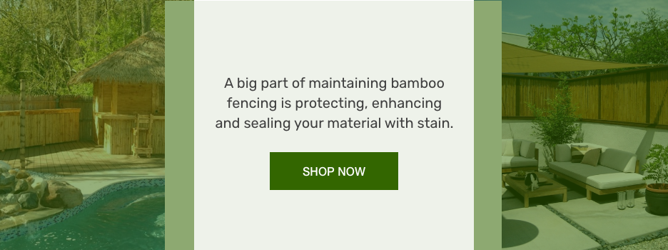 bamboo fencing maintenance details with a shop now button
