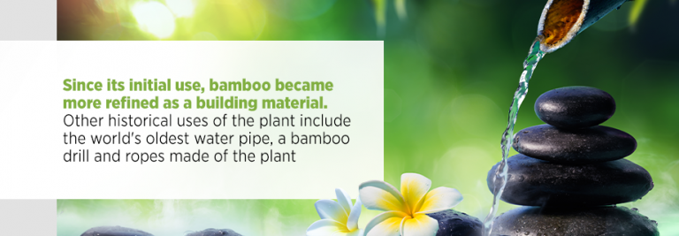 The History Of Bamboo And Its Usage | Bamboo History And Facts