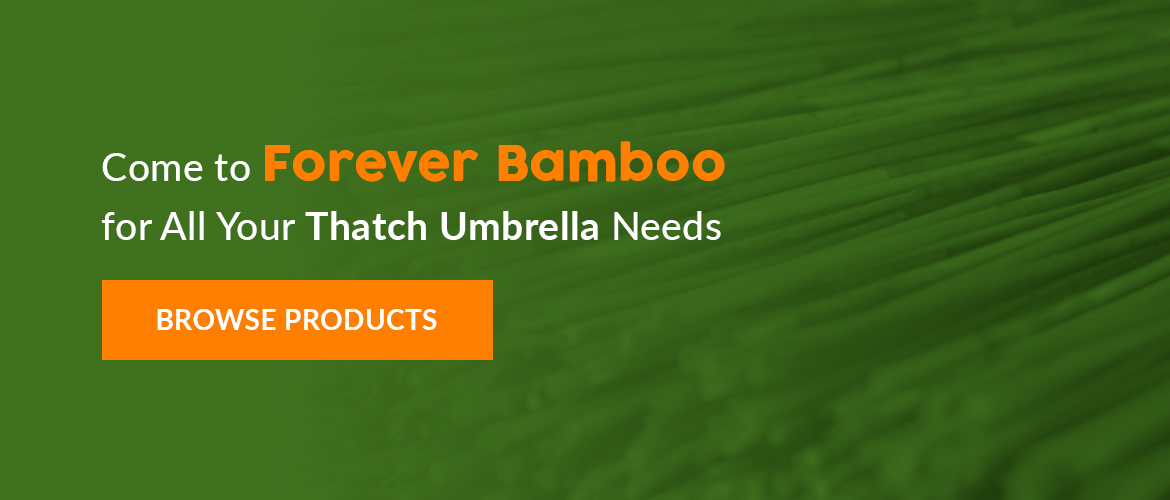 a green background with the words come to forever bamboo for all your thatch umbrella needs