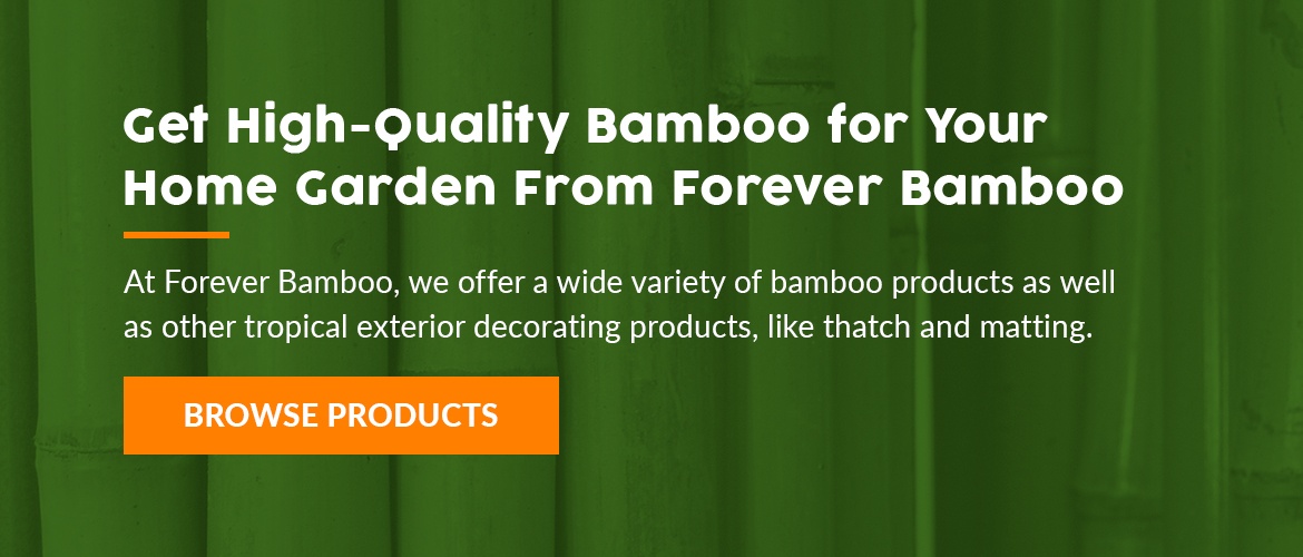 High Quality bamboo for your home garden from forever bamboo