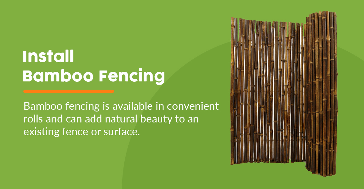 Tropical Backyard Bamboo Fencing