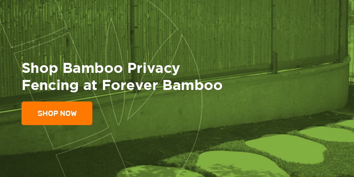 Shop Bamboo Privacy Fencing at Forever Bamboo