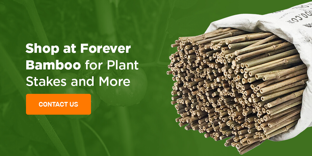 Shop at Forever Bamboo for Plant Stakes and More 
