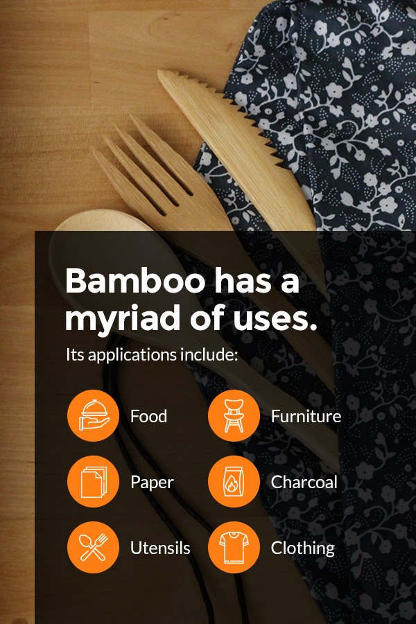 Common Uses of Bamboo