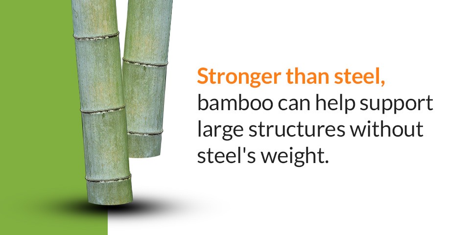 Bamboo is Stronger than Steel