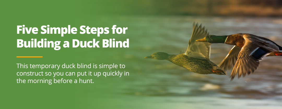 How to Build a DIY Duck Blind