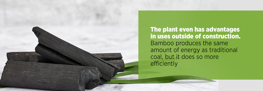 Bamboo Energy vs. Coal