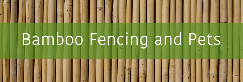 Bamboo Fencing and Pets