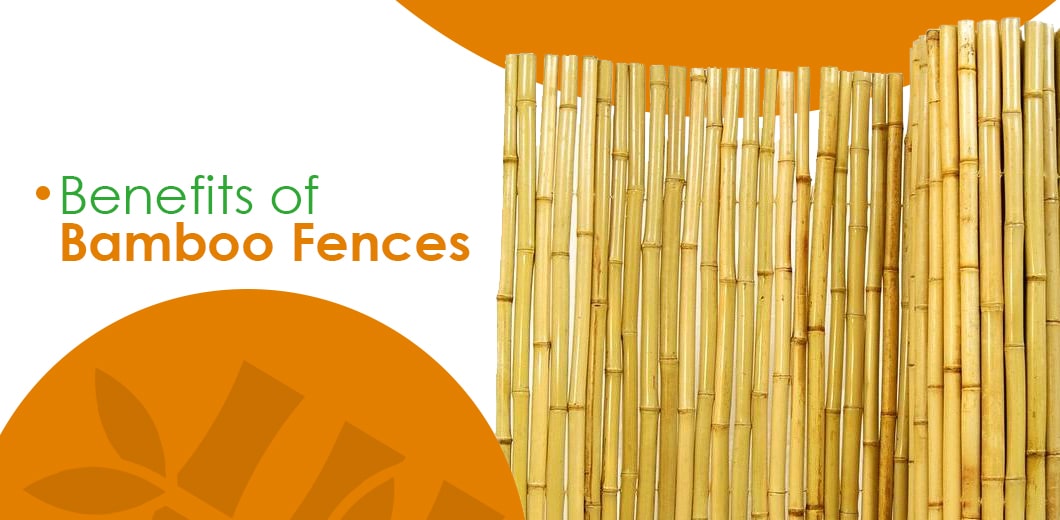 Bamboo fence benefits