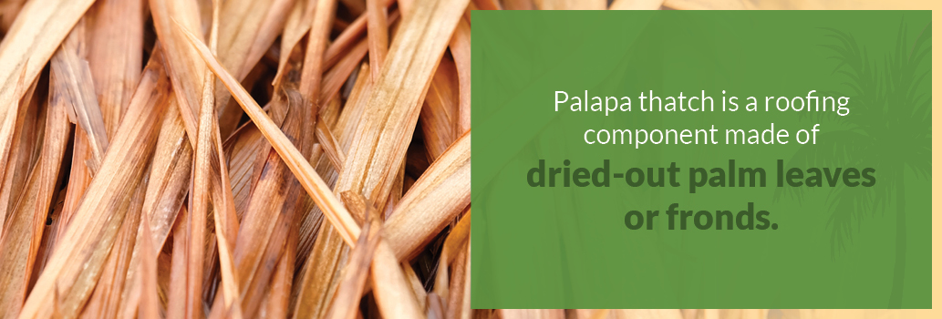 Palapa thatch roofing definition