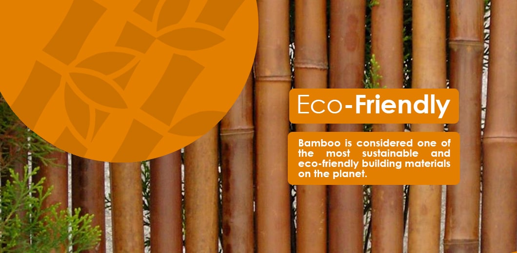 Eco-friendly fencing options bamboo