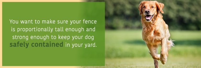 Bamboo Fencing For Pets - Backyard Fences for Dogs