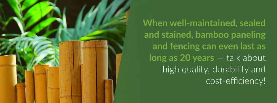 Bamboo Fencing Lifespan | Forever Bamboo