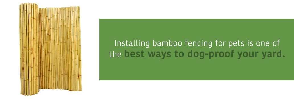 Bamboo Fencing for a Dog-Safe Yard