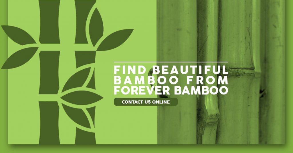 How to Build a Bamboo Roof | DIY Bamboo Roof Instructions