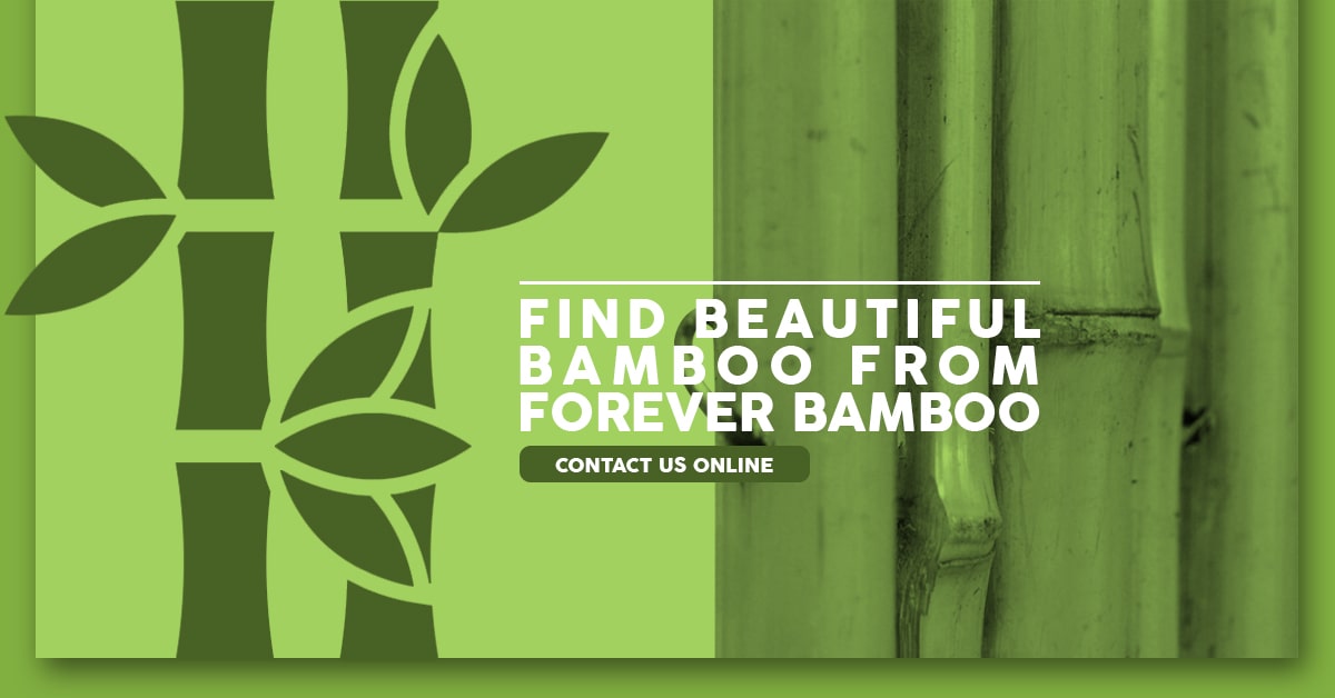 Beautiful Bamboo Products