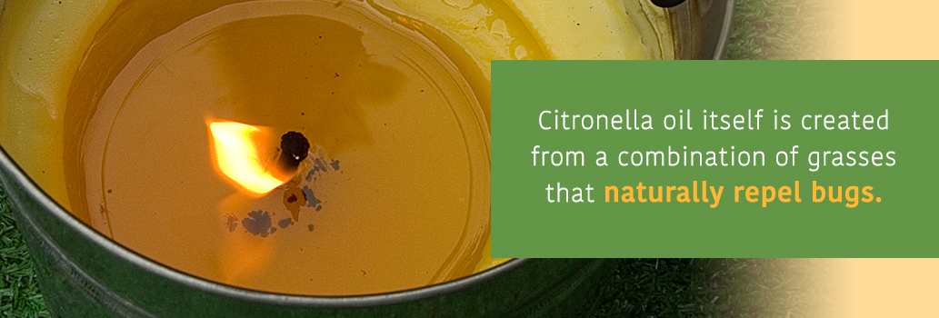 Burn some Citronella in the backyard to repel bugs