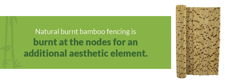 Burnt Bamboo Fencing