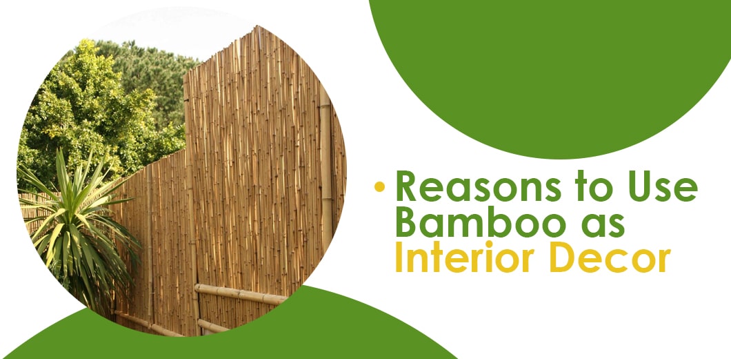 Why decorate your indoor space with bamboo