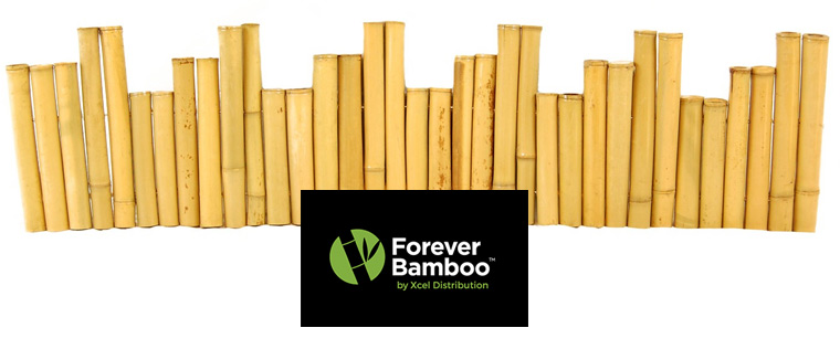 Bamboo Borders
