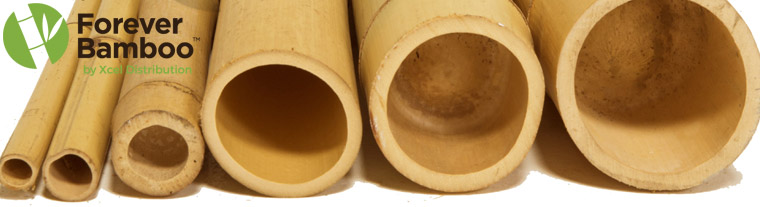 Buy Bamboo Poles