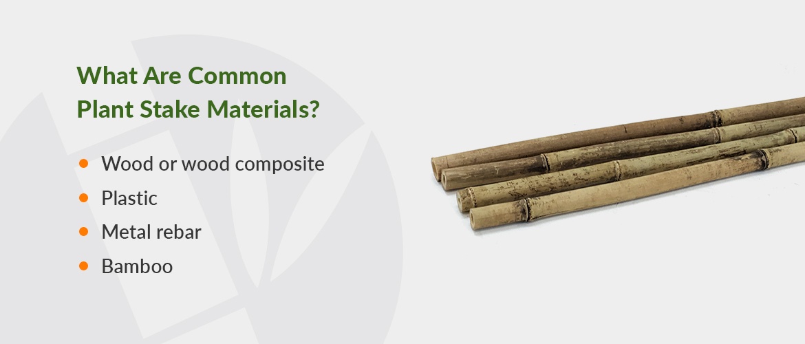 common types of plant stakes